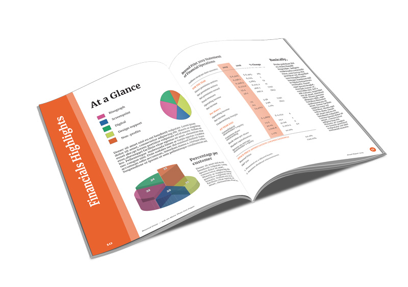 annual report mock-up